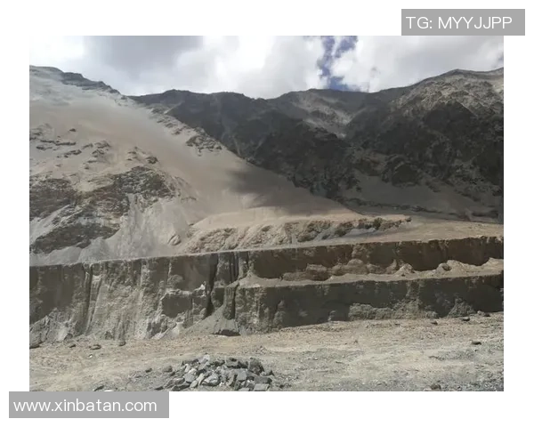 深度对话：杨芳在CSGO世界中的成长与挑战之路